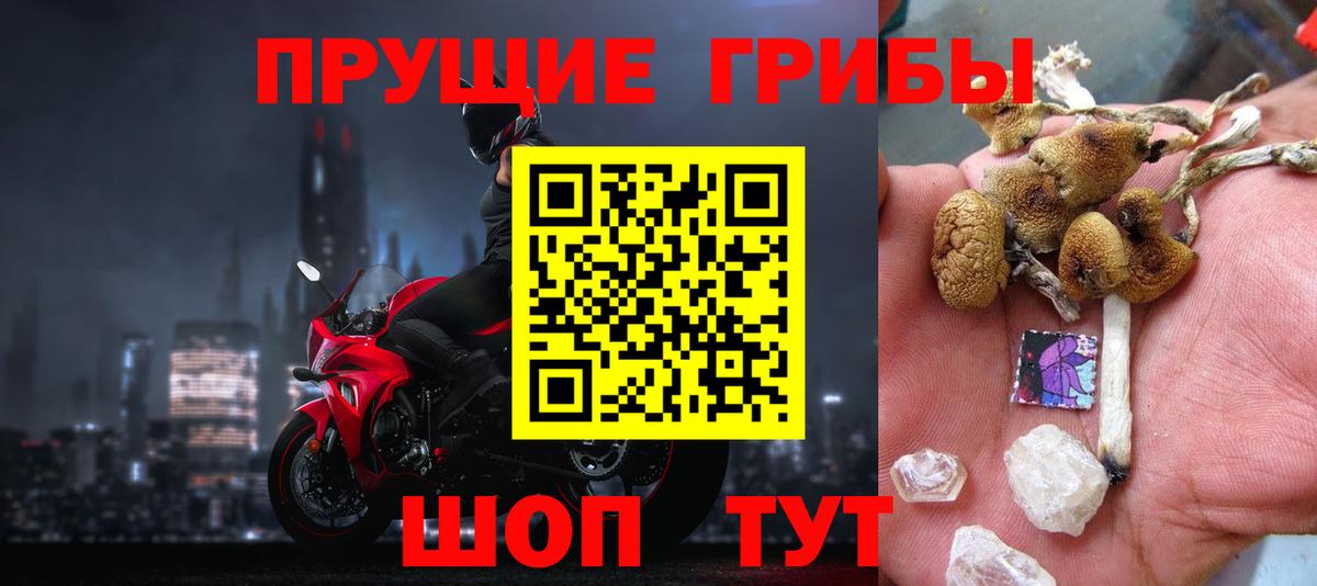 Семилуки  Галлюциногенные грибы GOLDEN TEACHER  Вход с VPN 